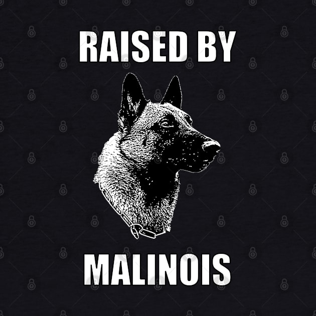 Raised by Malinois by childofthecorn